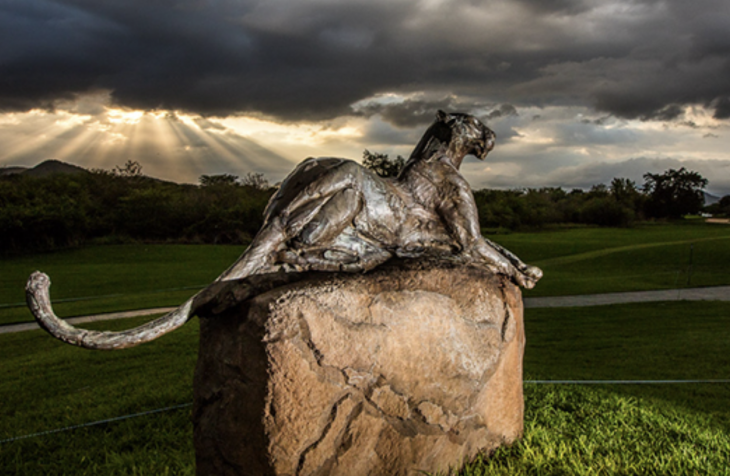 | Foto: https://www.alfreddunhillchampionship.com/