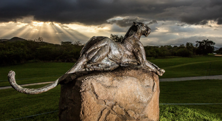 Puesto 40 para los hermanos Elvira en el Alfred Dunhill Championship